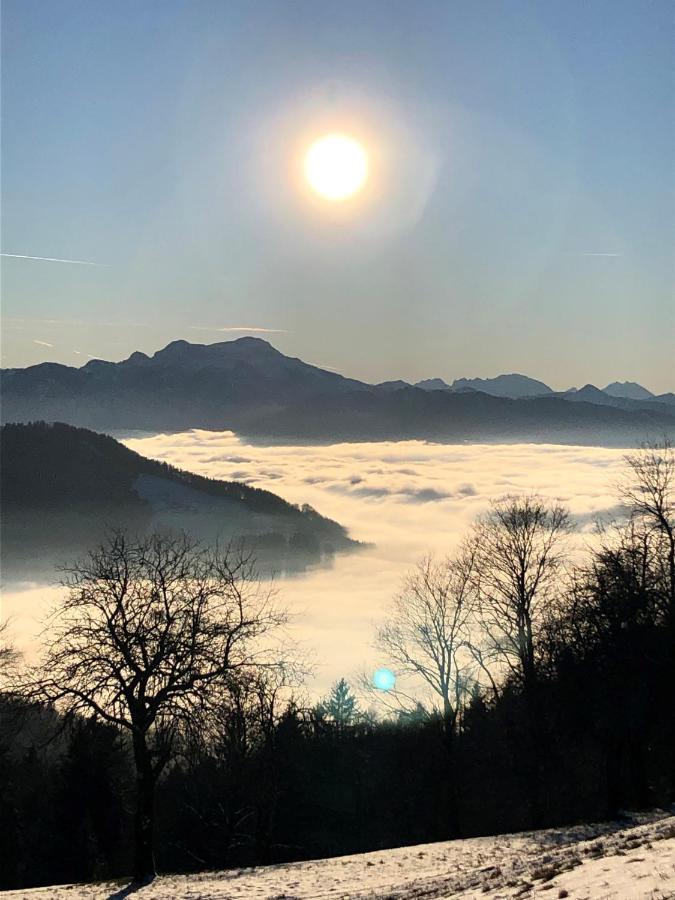 Fewo Atterseeperle - 80M2 Mit See- Und Gebirgsblick Steinbach am Attersee Εξωτερικό φωτογραφία