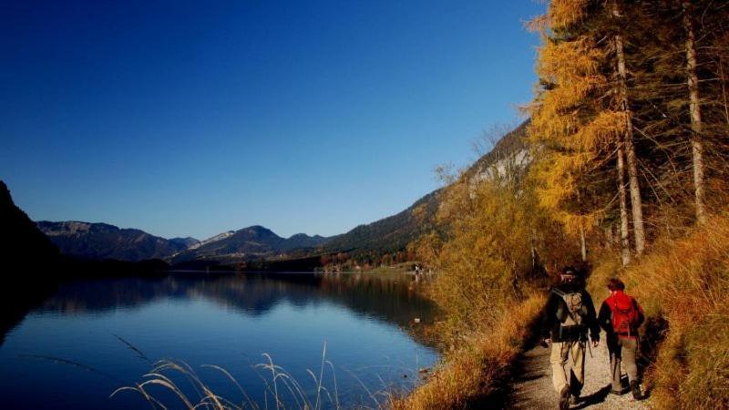Fewo Atterseeperle - 80M2 Mit See- Und Gebirgsblick Steinbach am Attersee Εξωτερικό φωτογραφία