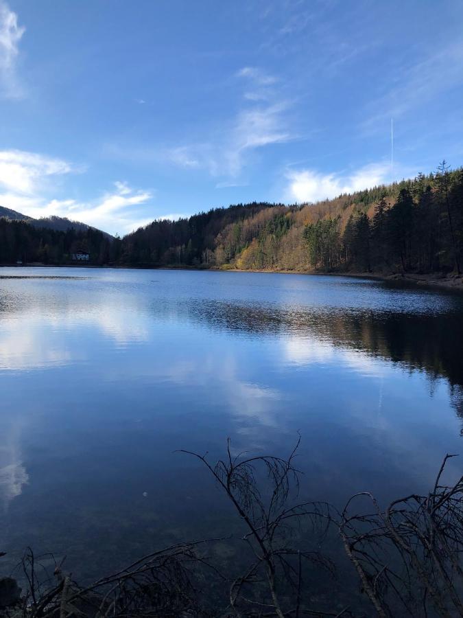 Fewo Atterseeperle - 80M2 Mit See- Und Gebirgsblick Steinbach am Attersee Εξωτερικό φωτογραφία
