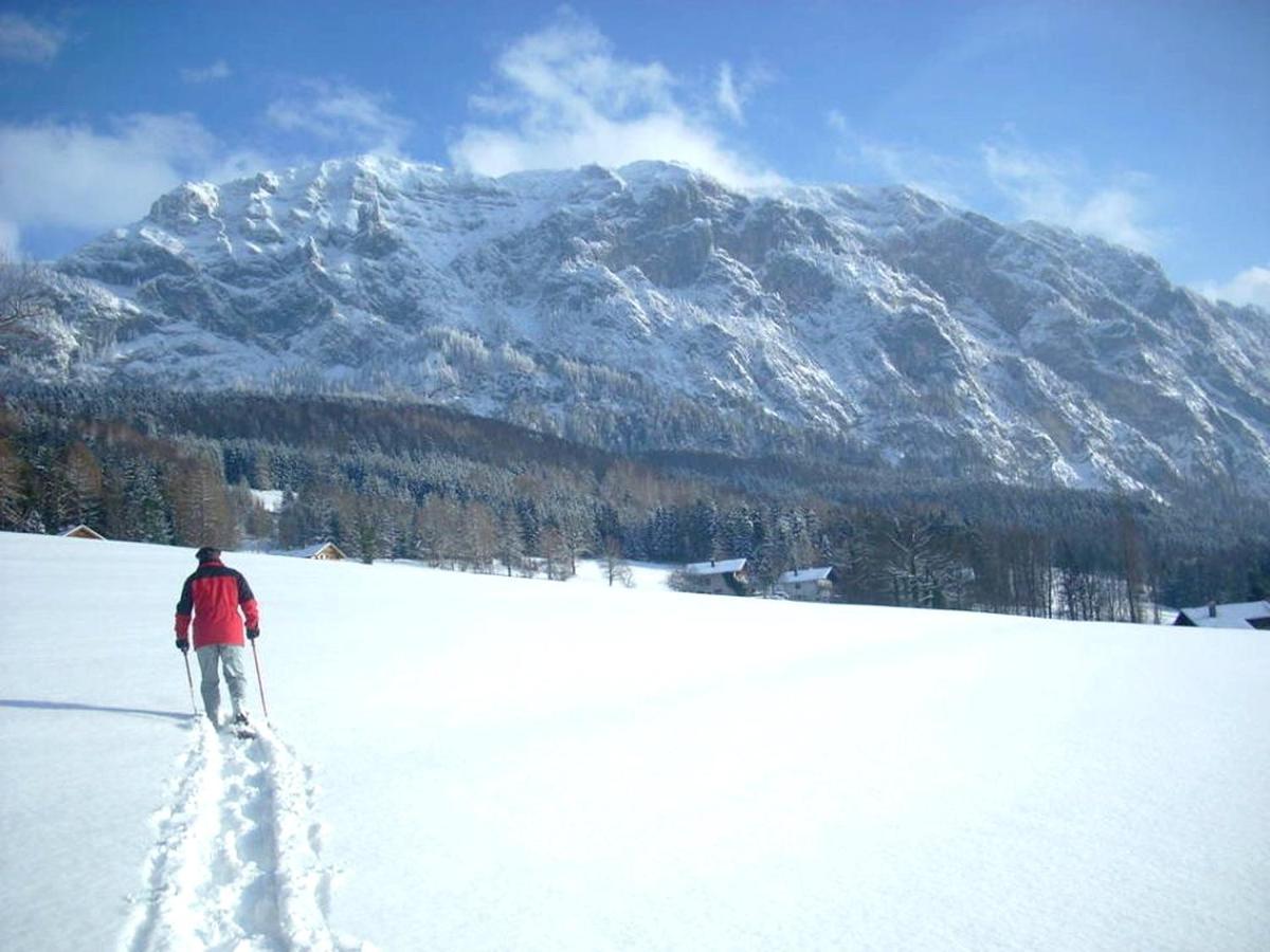 Fewo Atterseeperle - 80M2 Mit See- Und Gebirgsblick Steinbach am Attersee Εξωτερικό φωτογραφία