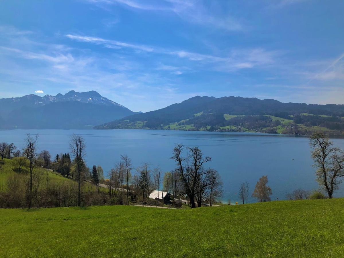 Fewo Atterseeperle - 80M2 Mit See- Und Gebirgsblick Steinbach am Attersee Εξωτερικό φωτογραφία