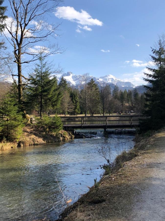 Fewo Atterseeperle - 80M2 Mit See- Und Gebirgsblick Steinbach am Attersee Εξωτερικό φωτογραφία