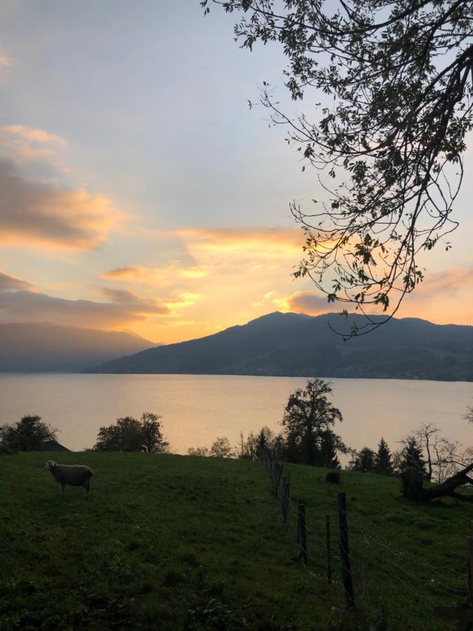 Fewo Atterseeperle - 80M2 Mit See- Und Gebirgsblick Steinbach am Attersee Εξωτερικό φωτογραφία