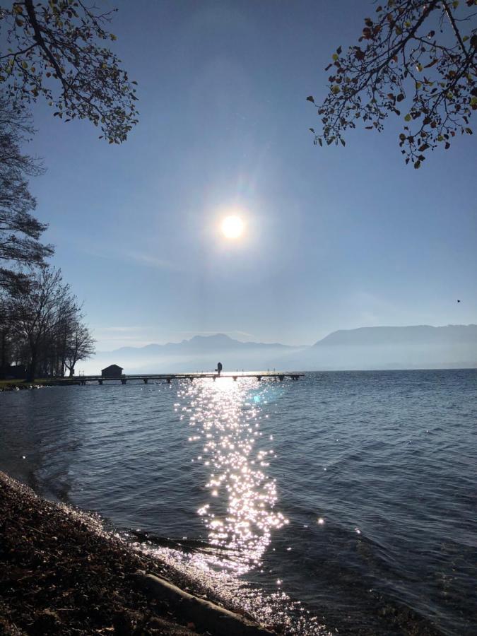 Fewo Atterseeperle - 80M2 Mit See- Und Gebirgsblick Steinbach am Attersee Εξωτερικό φωτογραφία