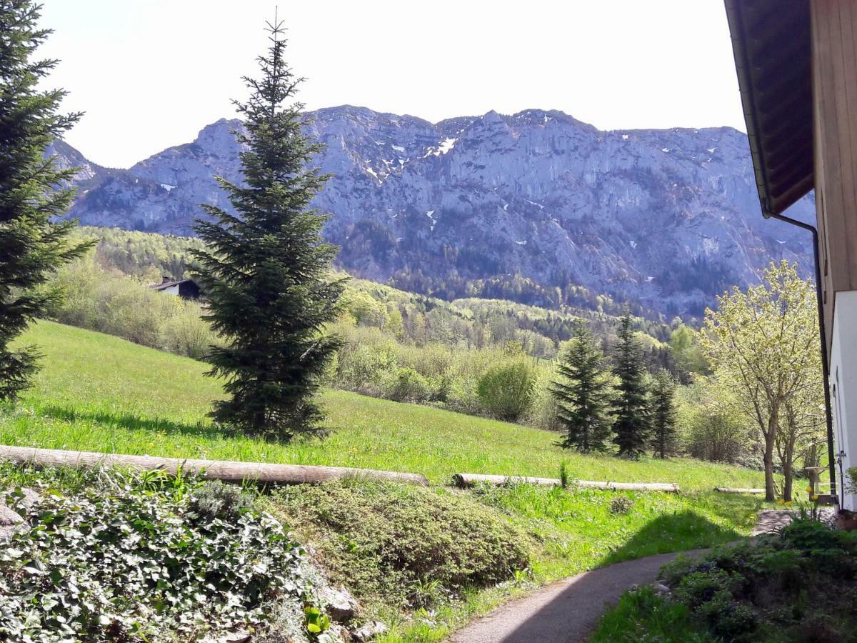 Fewo Atterseeperle - 80M2 Mit See- Und Gebirgsblick Steinbach am Attersee Εξωτερικό φωτογραφία